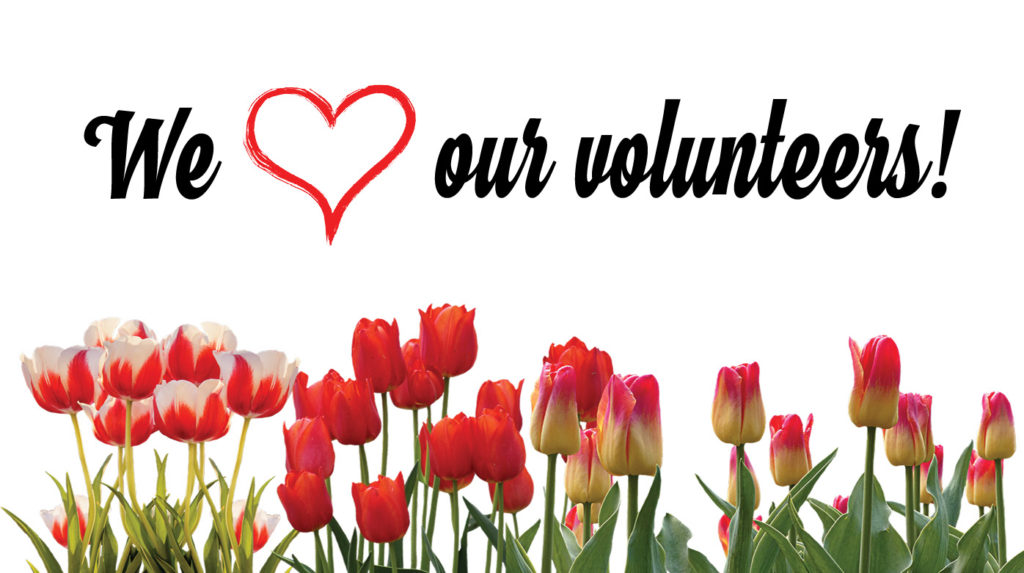 Volunteer Showcase 2019 Volunteer Apprecation Week Seeds of Literacy