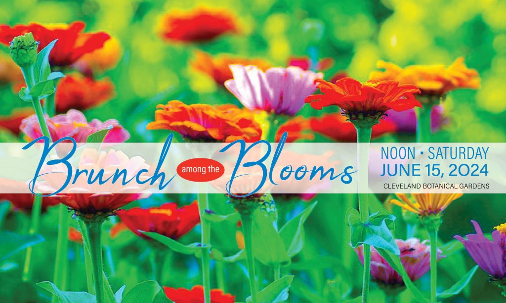 close up of garden flowers, red, yellow, and purple with the name of the event overlaid: Brunch Among the Blooms